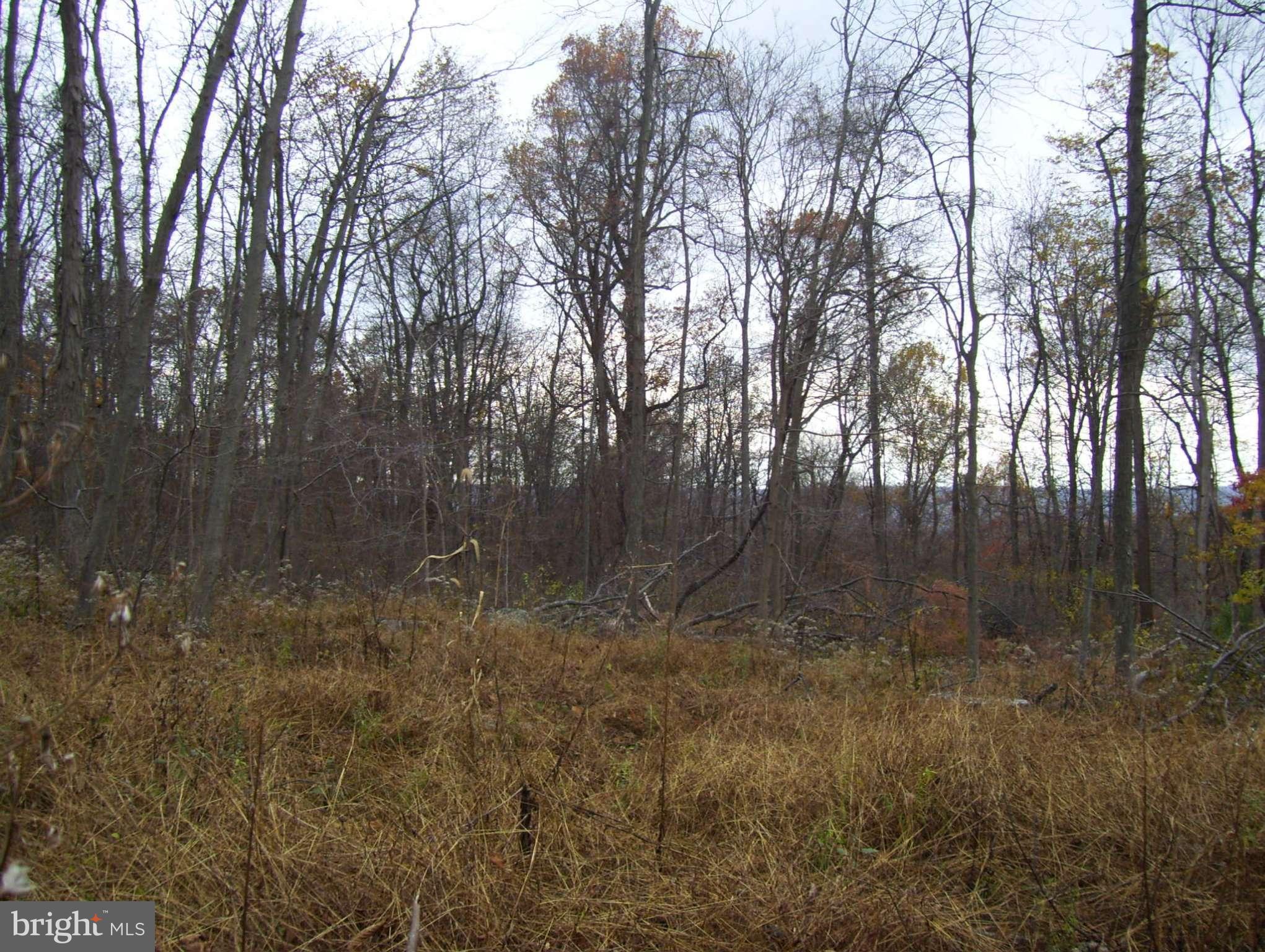 4643 John Draper Road Smithsburg, MD 21783 - Photo 15 of 30 View