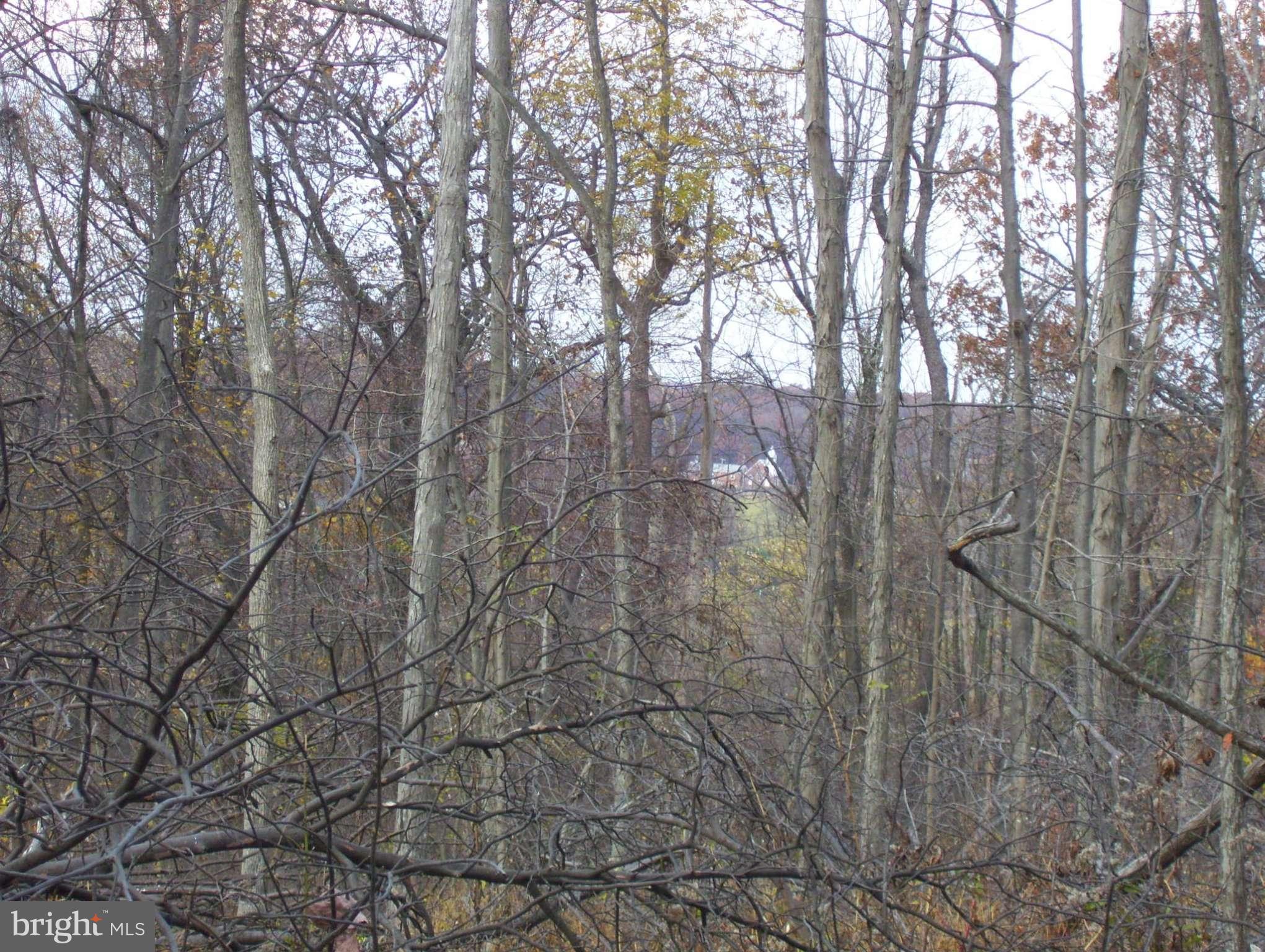 4643 John Draper Road Smithsburg, MD 21783 - Photo 27 of 30 View