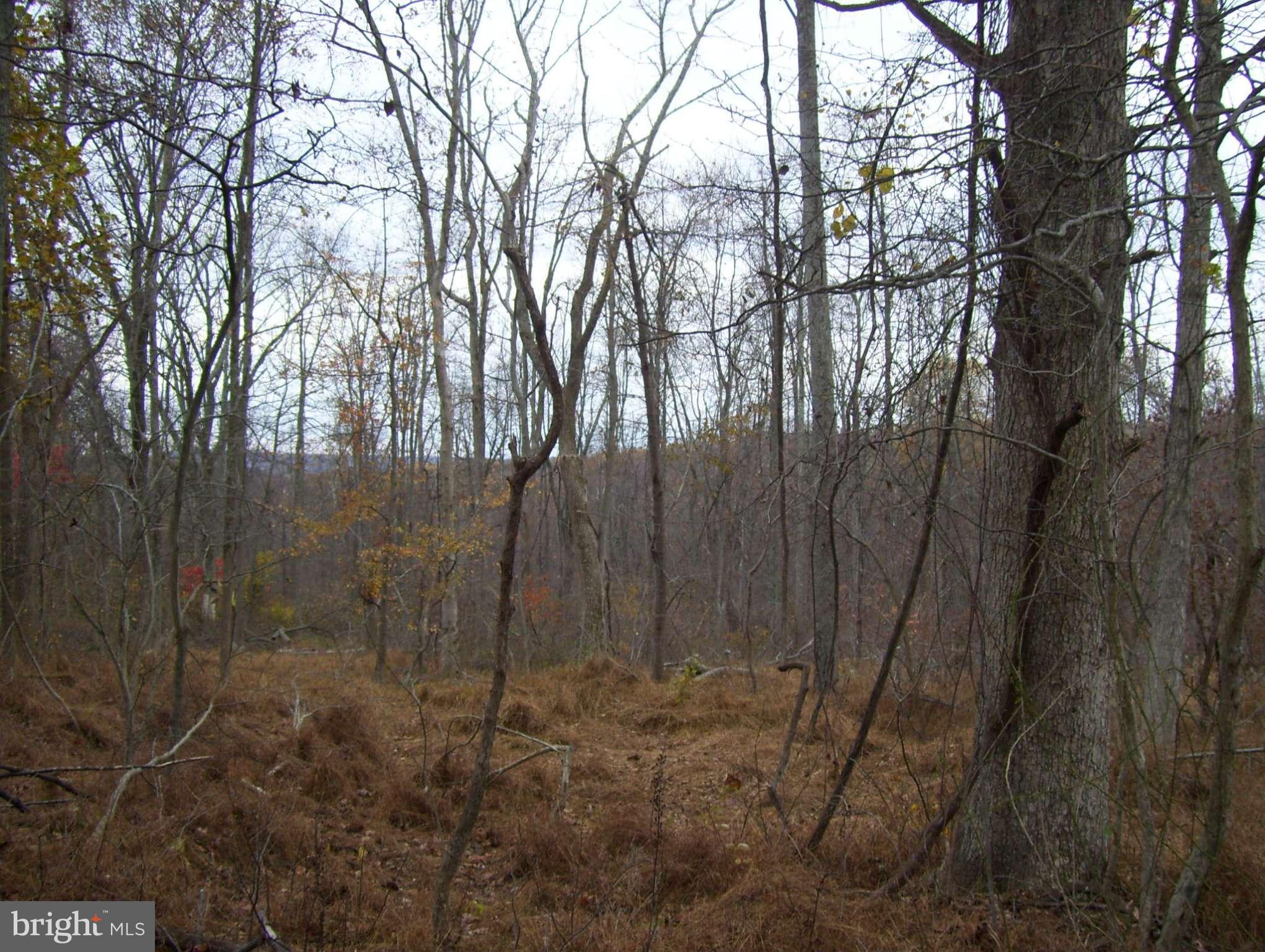 4643 John Draper Road Smithsburg, MD 21783 - Photo 7 of 30 View
