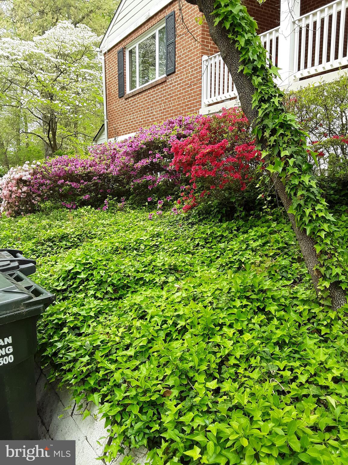 6534 Spring Road Springfield, VA 22150 - Photo 20 of 24