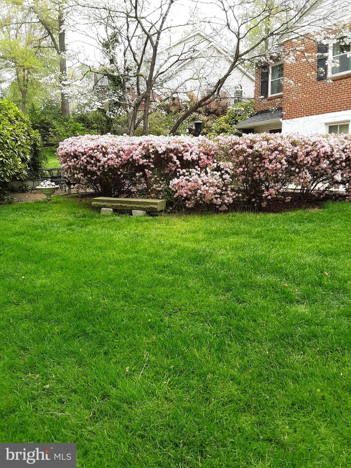 6534 Spring Road Springfield, VA 22150 - Photo 22 of 24