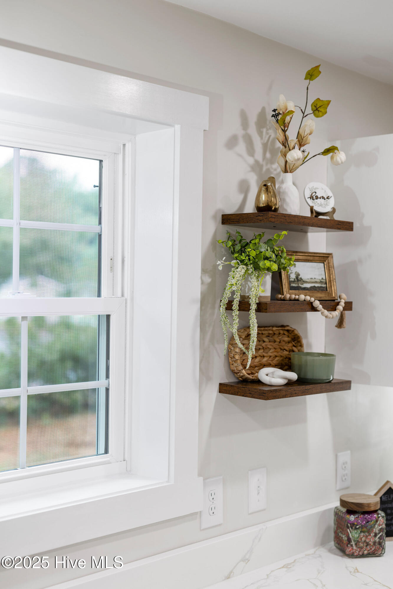 262 Millers Chapel Road Goldsboro, NC 27534 - Photo 45 of 64 Floating Shelves in Kitchen
