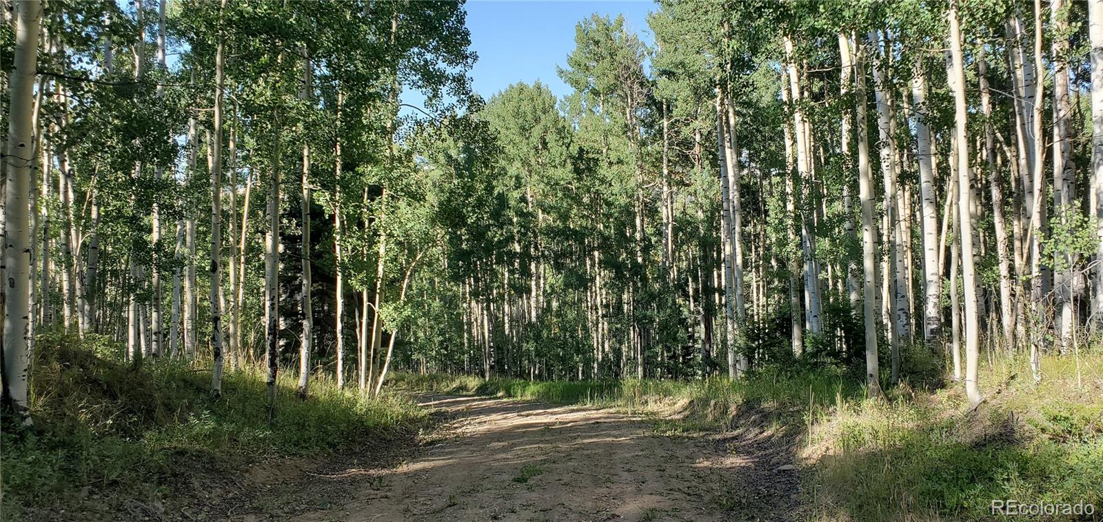 5174 Mo Road Fort Garland, CO 81133 - Photo 13 of 14 Gallery Image 13