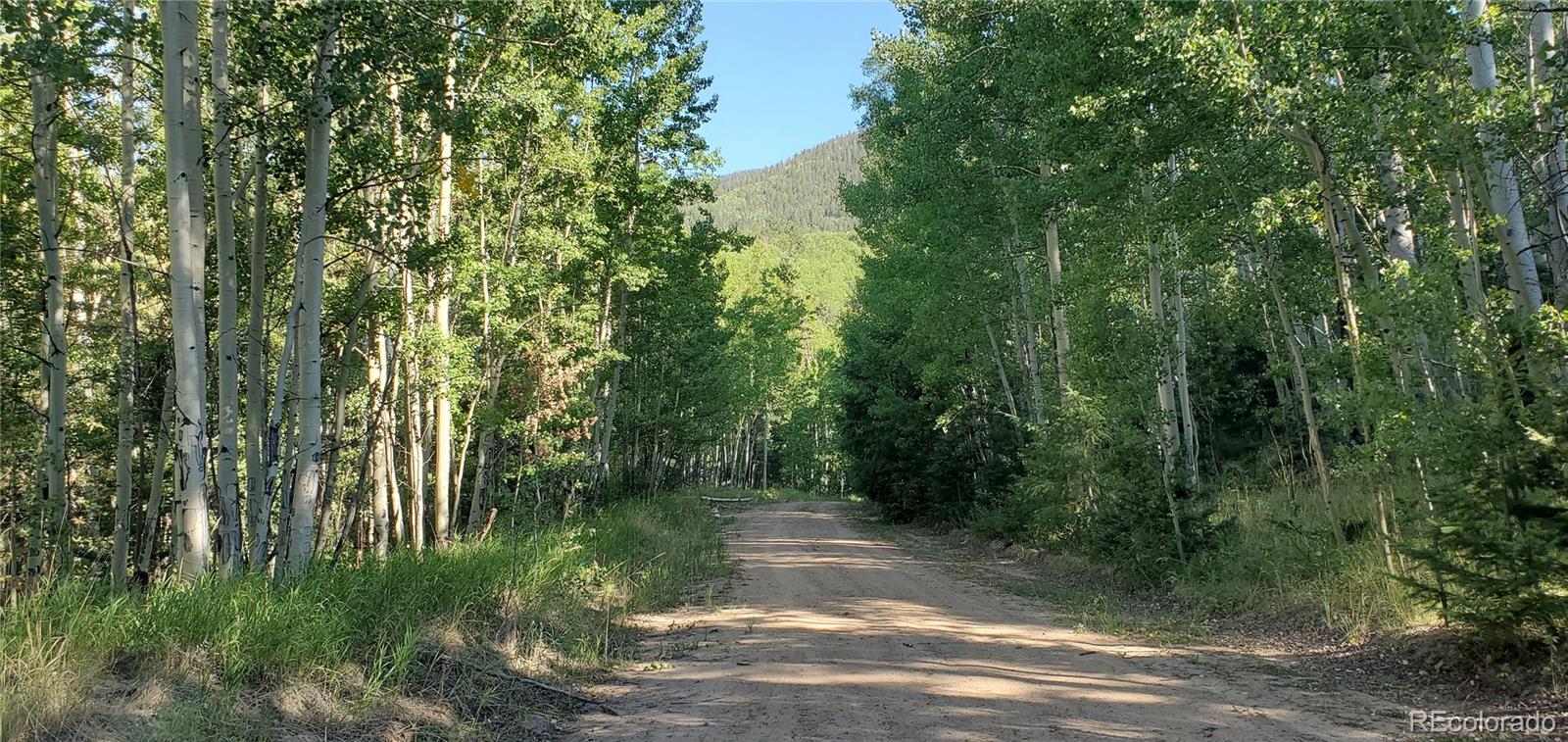 5174 Mo Road Fort Garland, CO 81133 - Photo 14 of 14 Gallery Image 14