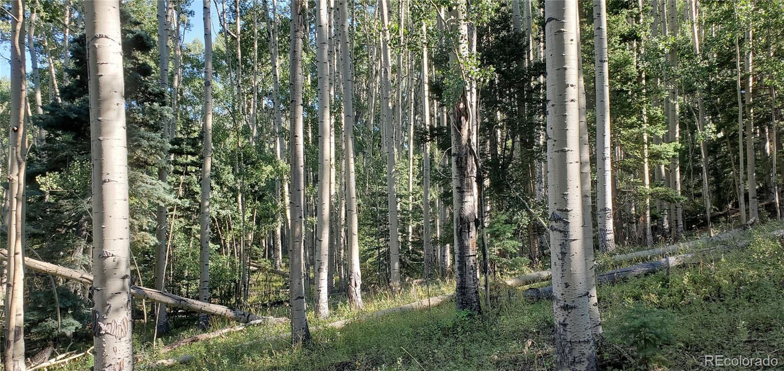 5174 Mo Road Fort Garland, CO 81133 - Photo 4 of 14 Gallery Image 4