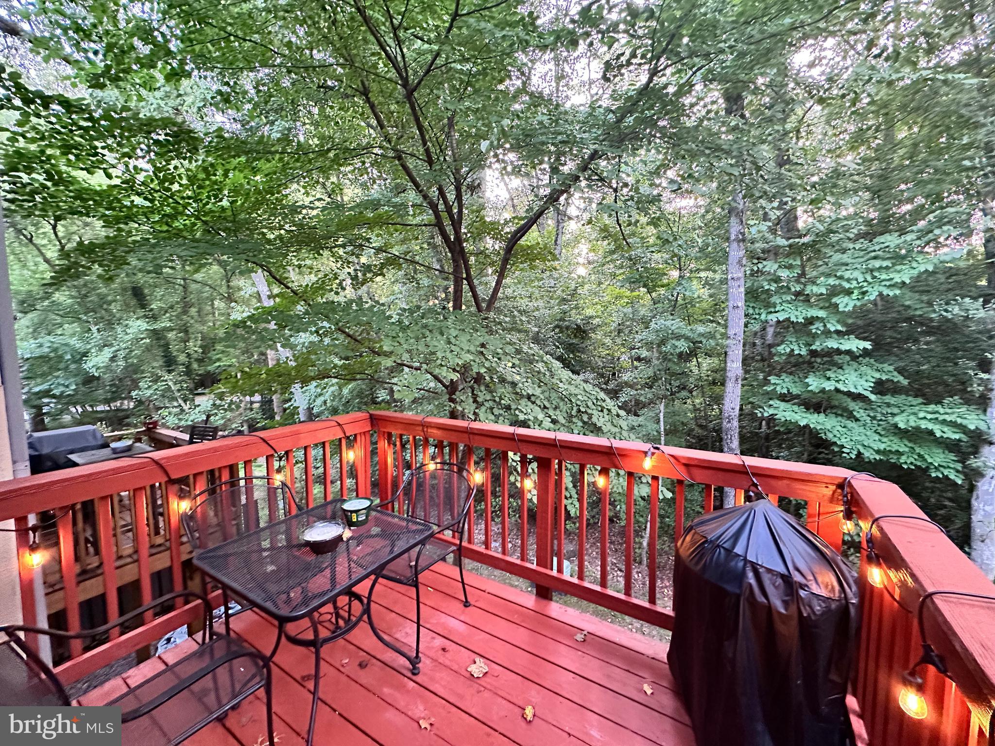 2212 Coppersmith Square Reston, VA 20191 - Photo 22 of 28