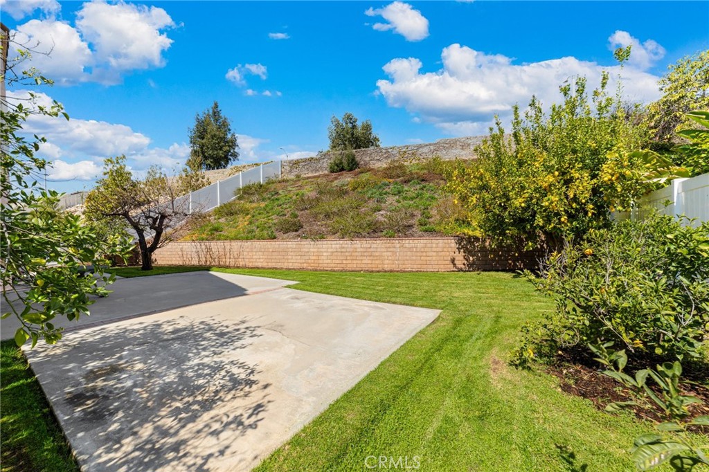 28962 Clear Spring Lane Highland, CA 92346 - Photo 29 of 32 a view of a yard with an tree