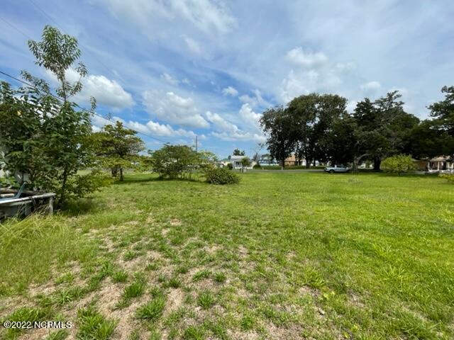 2307 Crab Point Loop Road Morehead City, NC 28557 - Photo 13 of 16 Lot view