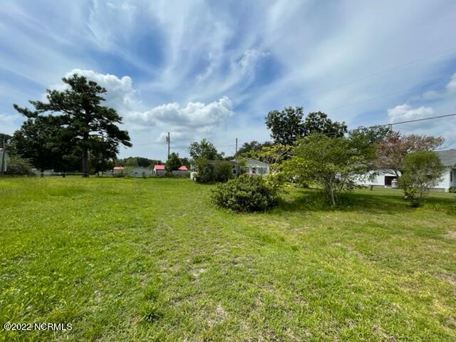 2307 Crab Point Loop Road Morehead City, NC 28557 - Photo 15 of 16 Lot view