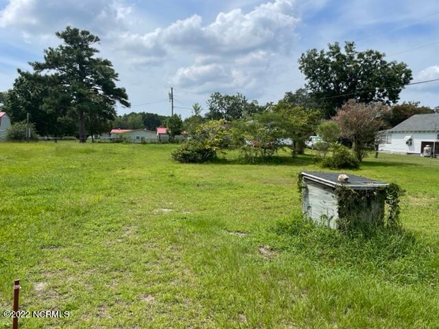 2307 Crab Point Loop Road Morehead City, NC 28557 - Photo 16 of 16 Lot view