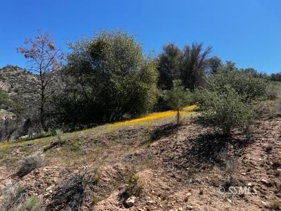 Canyon View Road Caliente, CA 93518 - Photo 3 of 5