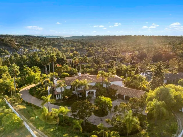 a view of a park with trees and plants