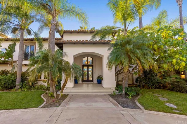 a view of a yard with plants