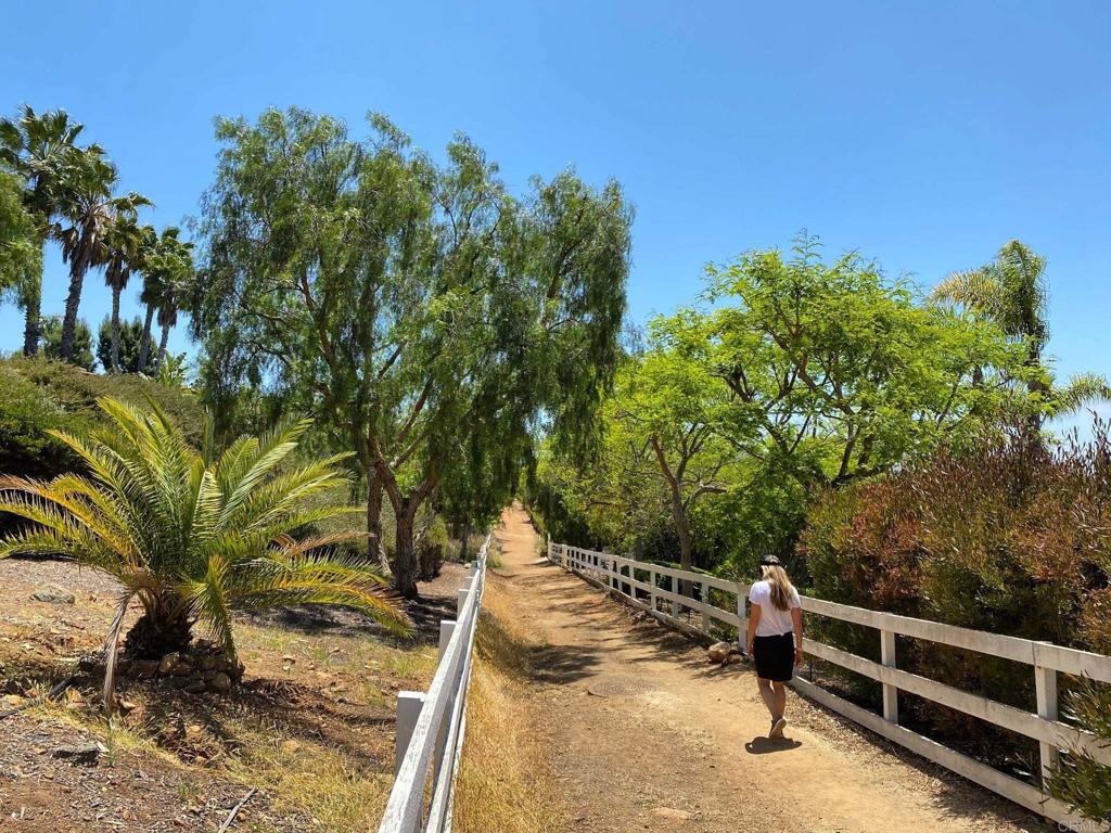 3226 Violet Ridge Encinitas, CA 92024 - Photo 52 of 54 a view of a yard