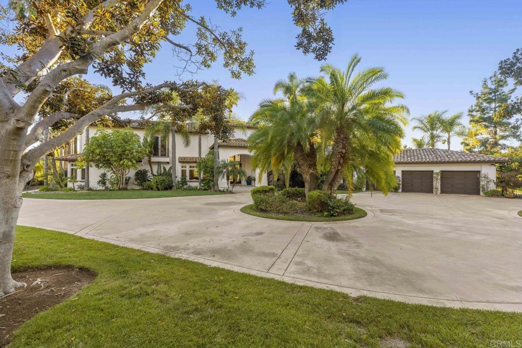3226 Violet Ridge Encinitas, CA 92024 - Photo 7 of 54 a view of a yard with plants