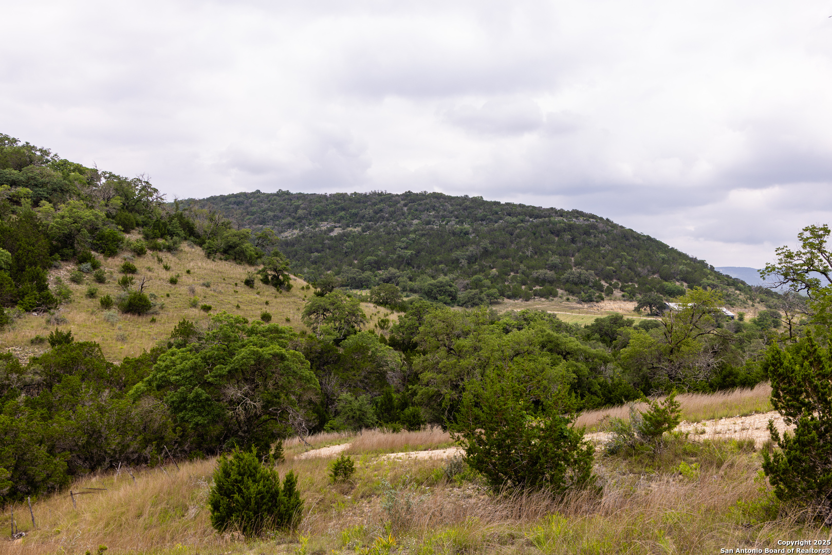 a view of a lot of trees and houses