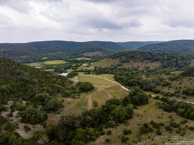 an aerial view of houses covered in trees