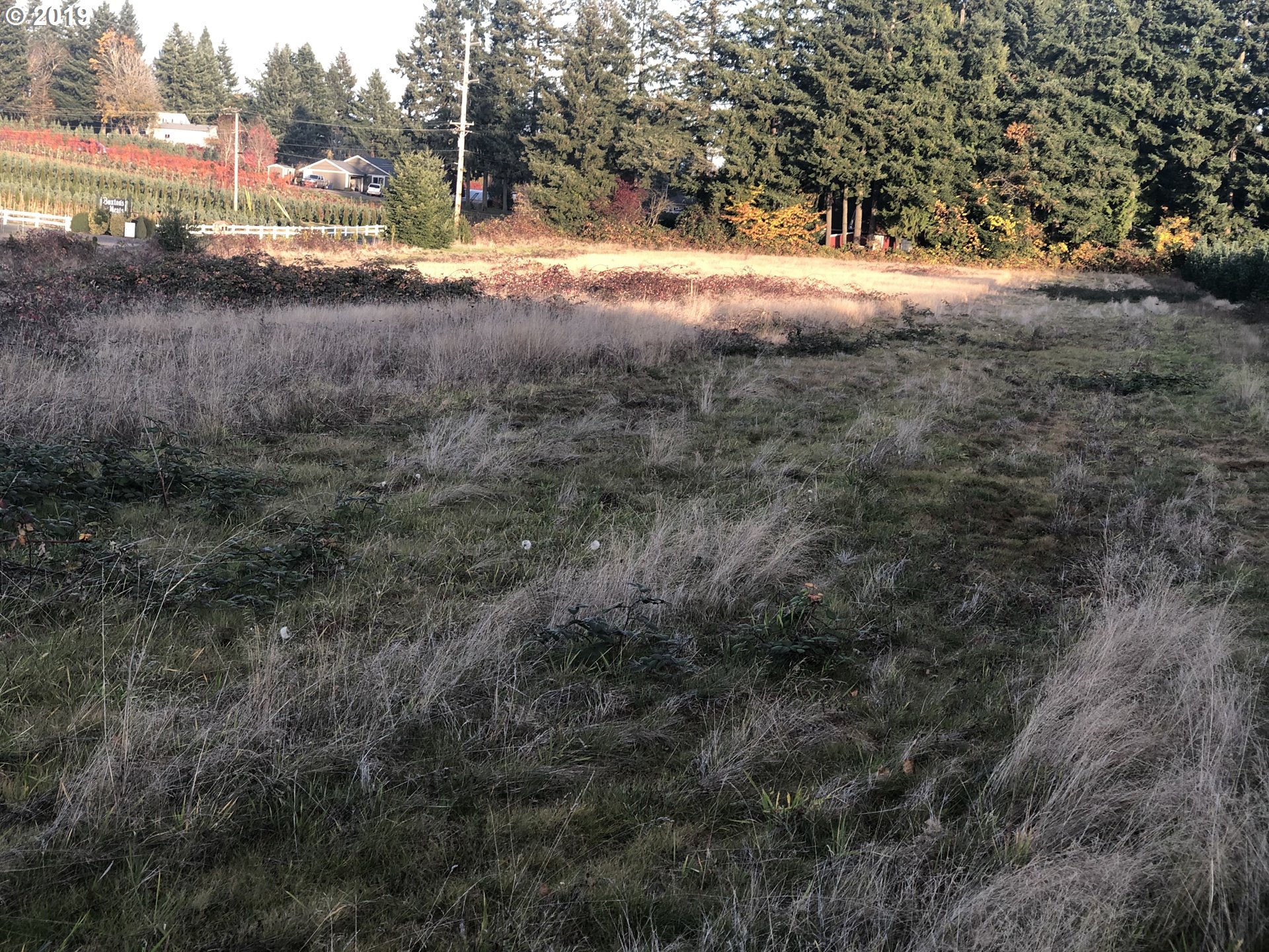 37190 Southeast Dunn Road Sandy, OR 97055 - Photo 2 of 7