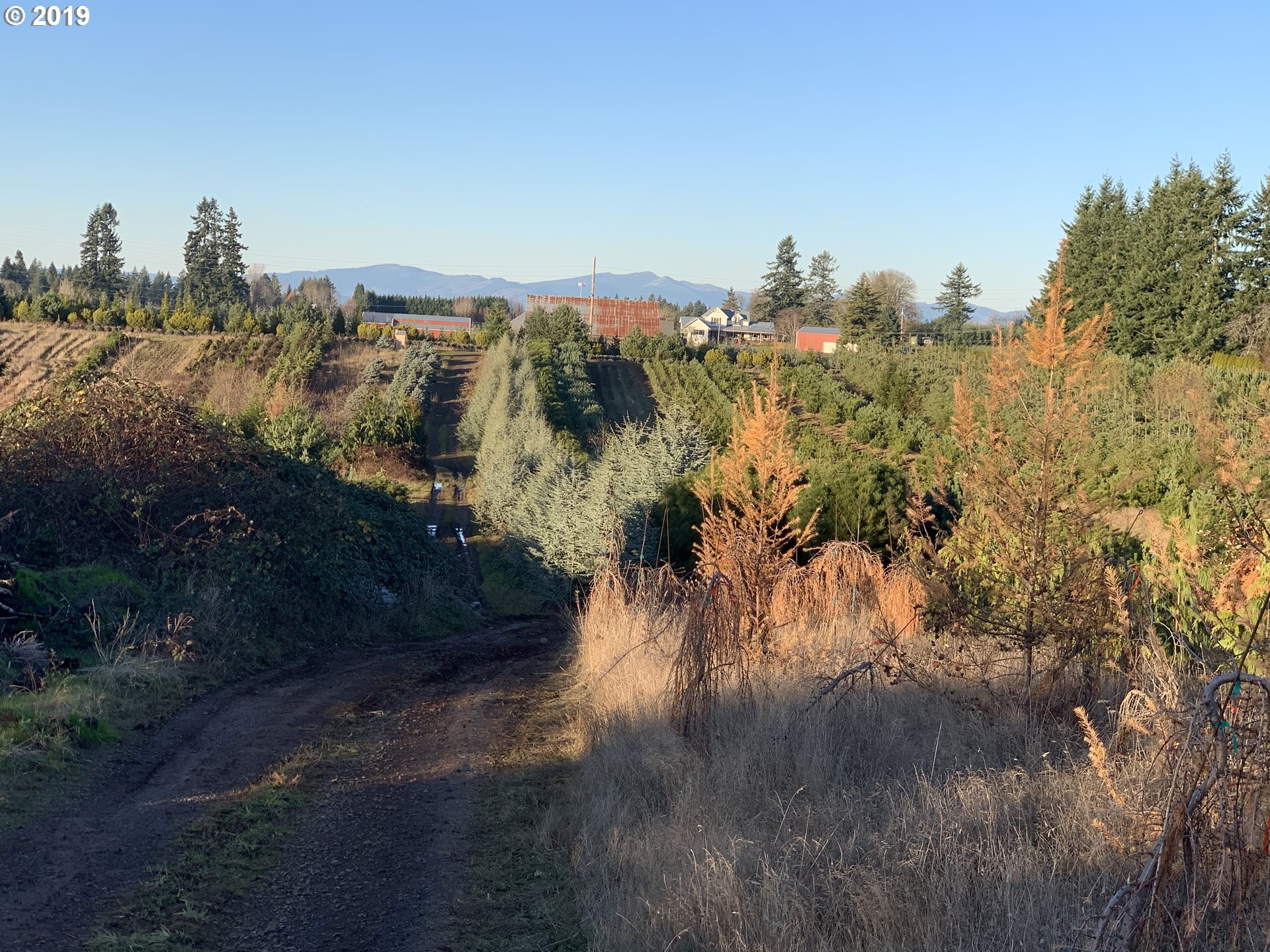 37190 Southeast Dunn Road Sandy, OR 97055 - Photo 5 of 7