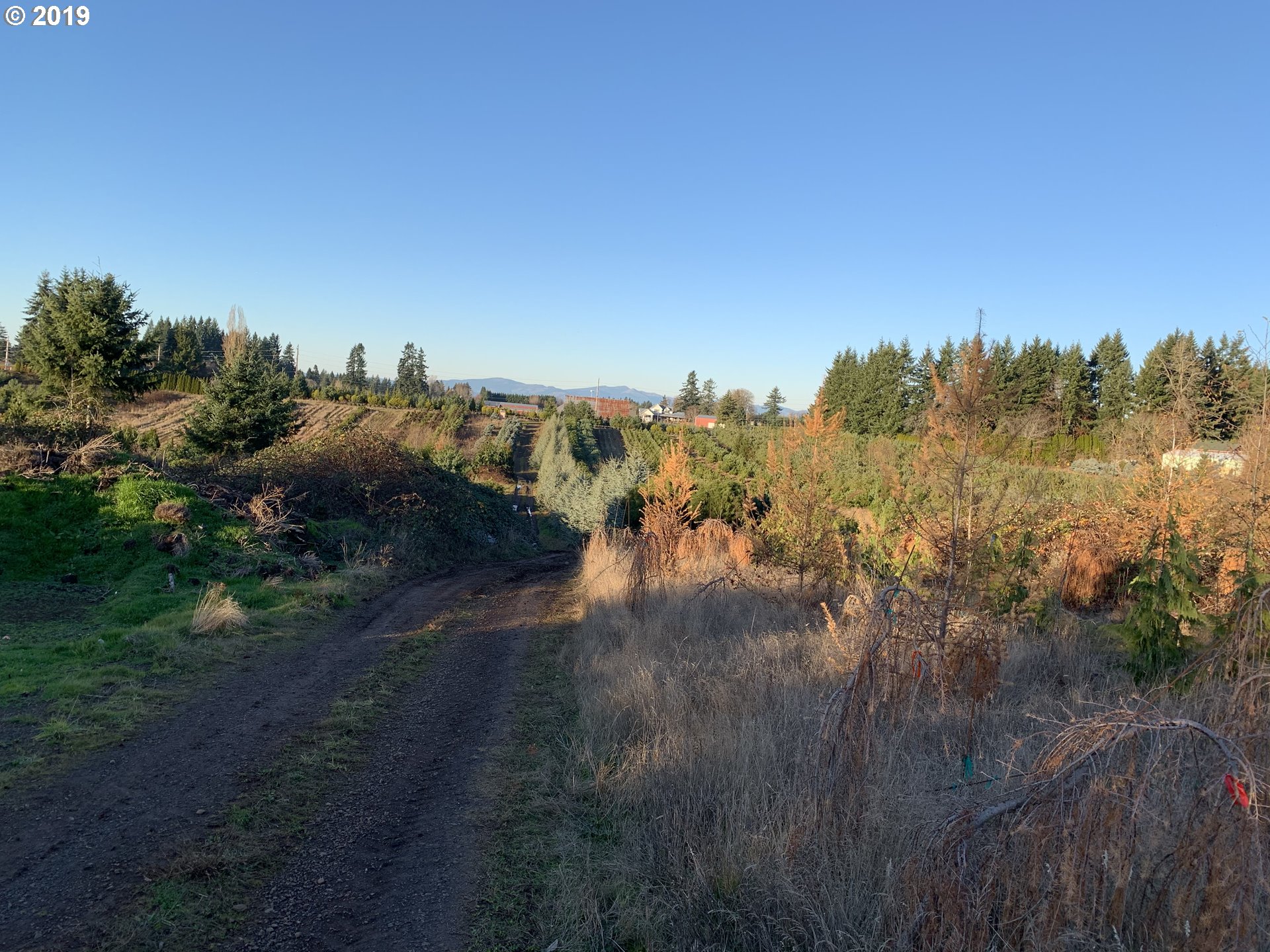 37190 Southeast Dunn Road Sandy, OR 97055 - Photo 6 of 7