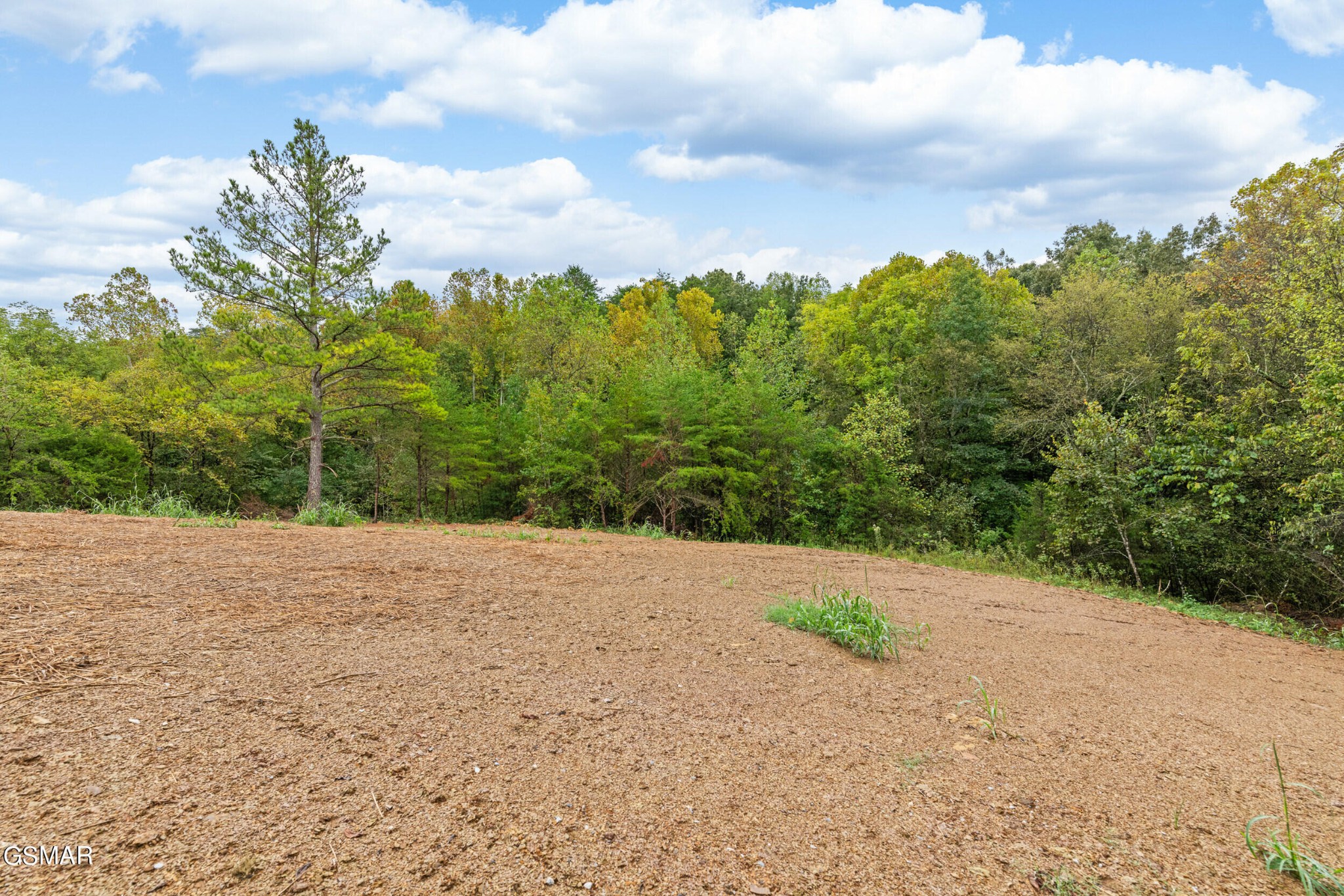 9726 Clift Road Strawberry Plains, TN 37871 - Photo 33 of 40 Gallery Image 33