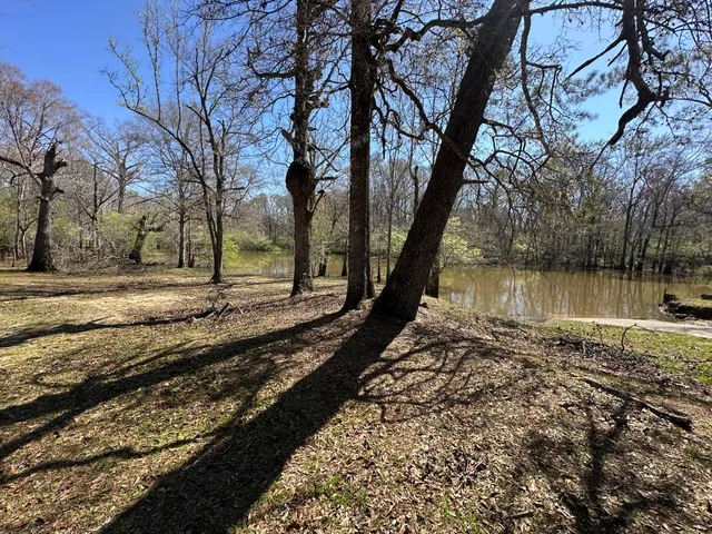 a view of a lake with a yard