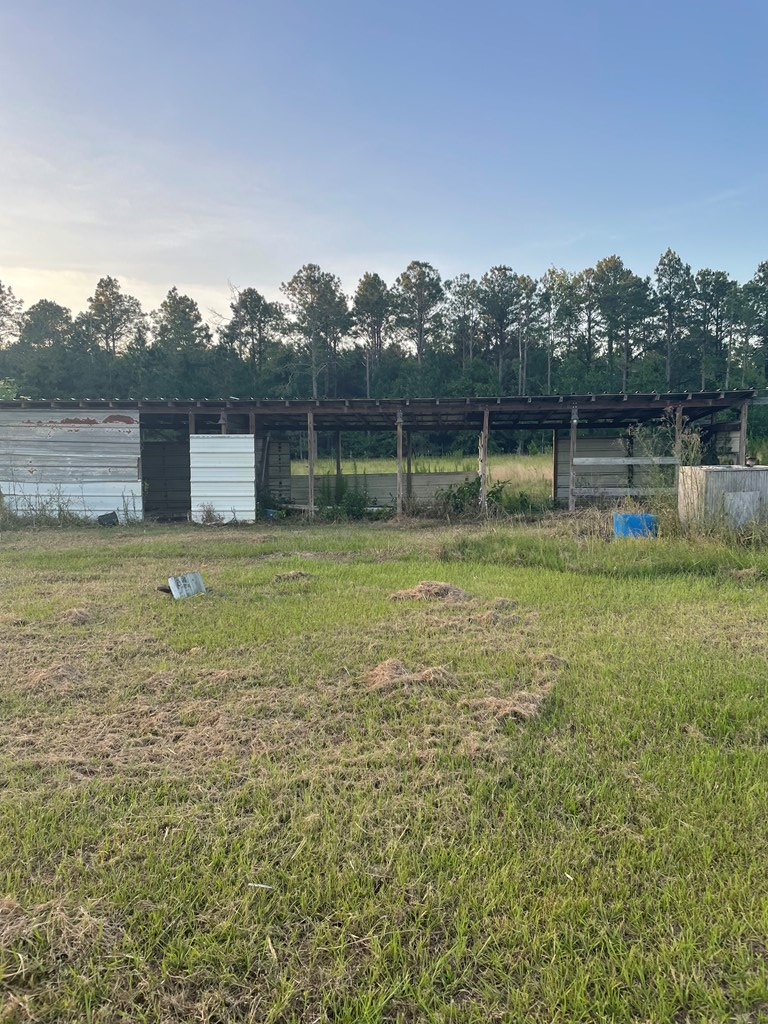 4510 Knights Ferry Road Quitman, GA 31643 - Photo 3 of 8 Gallery Image 3