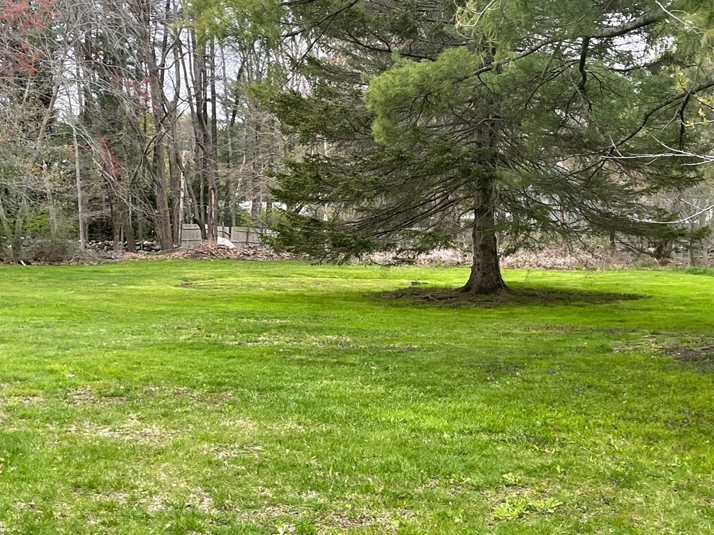 119 Page Road Bedford, MA 01730 - Photo 6 of 26