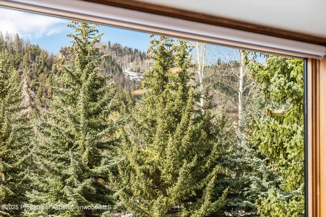 $3,995,000 | 926 Waters Avenue, Unit 203, Aspen, CO 81611