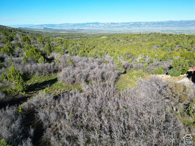 14050 Oak Rdg Circle, Unit 144 Mount Pleasant, UT 84647 - Photo 17 of 28 Drone / aerial view of a heavily wooded area and a mountainous background