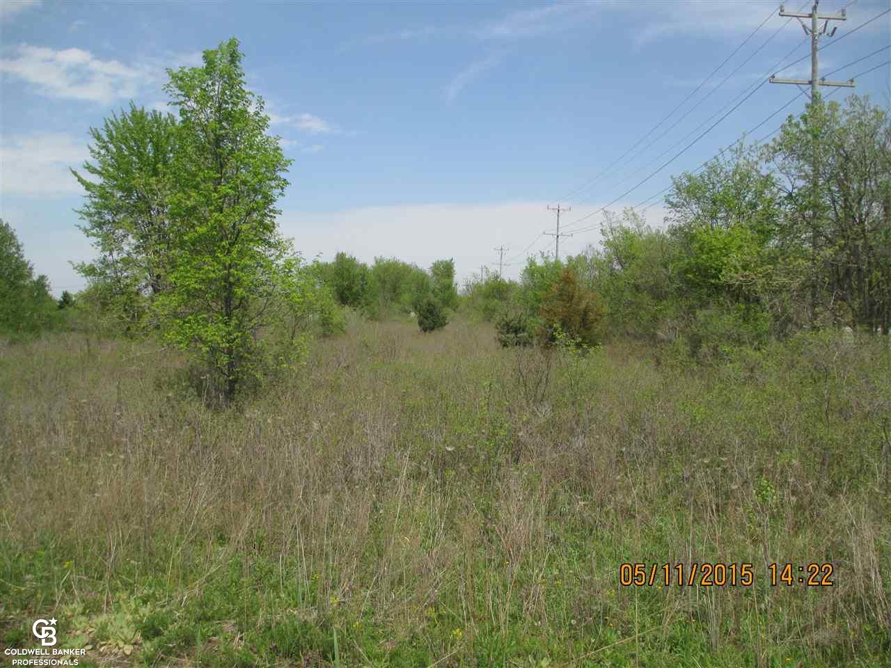0 Hessen Road Columbus, MI 48063 - Photo 2 of 4