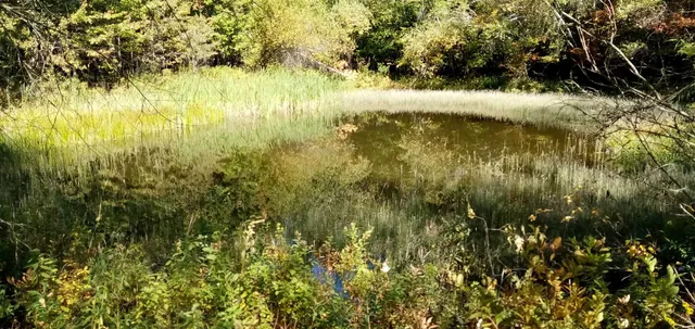 $250,000 | 656 Lower Elmore Mountain Road, Unit 1, Morristown, VT 05661