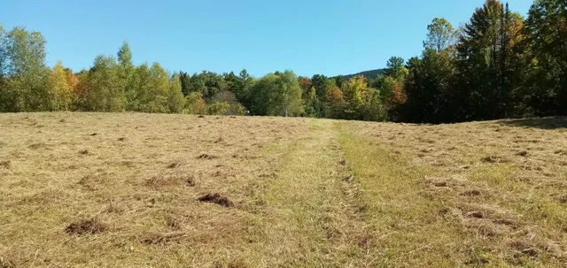 $250,000 | 656 Lower Elmore Mountain Road, Unit 1, Morristown, VT 05661