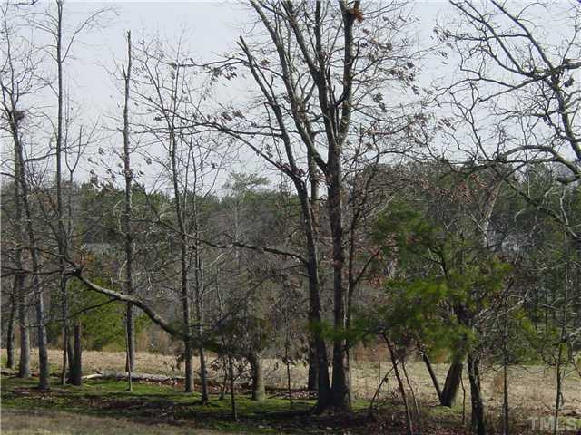 Cecil Road Wendell, NC 27591 - Photo 3 of 7 Photo 3