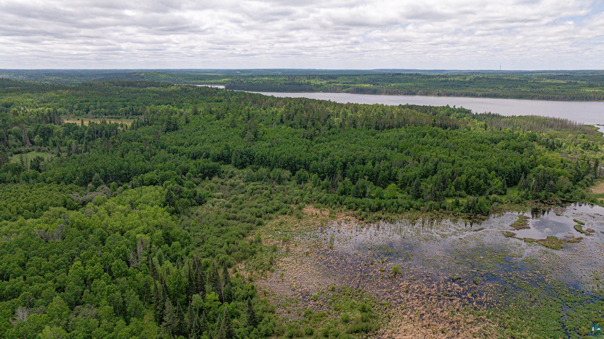 7280 Far North Road Buyck, MN 55771 - Photo 88 of 98