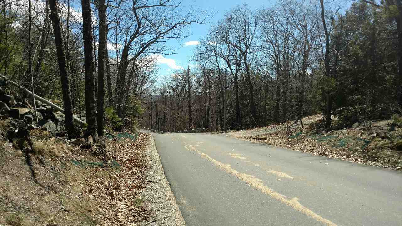 390 Mountain Road Lyndeborough, NH 03082 - Photo 2 of 12