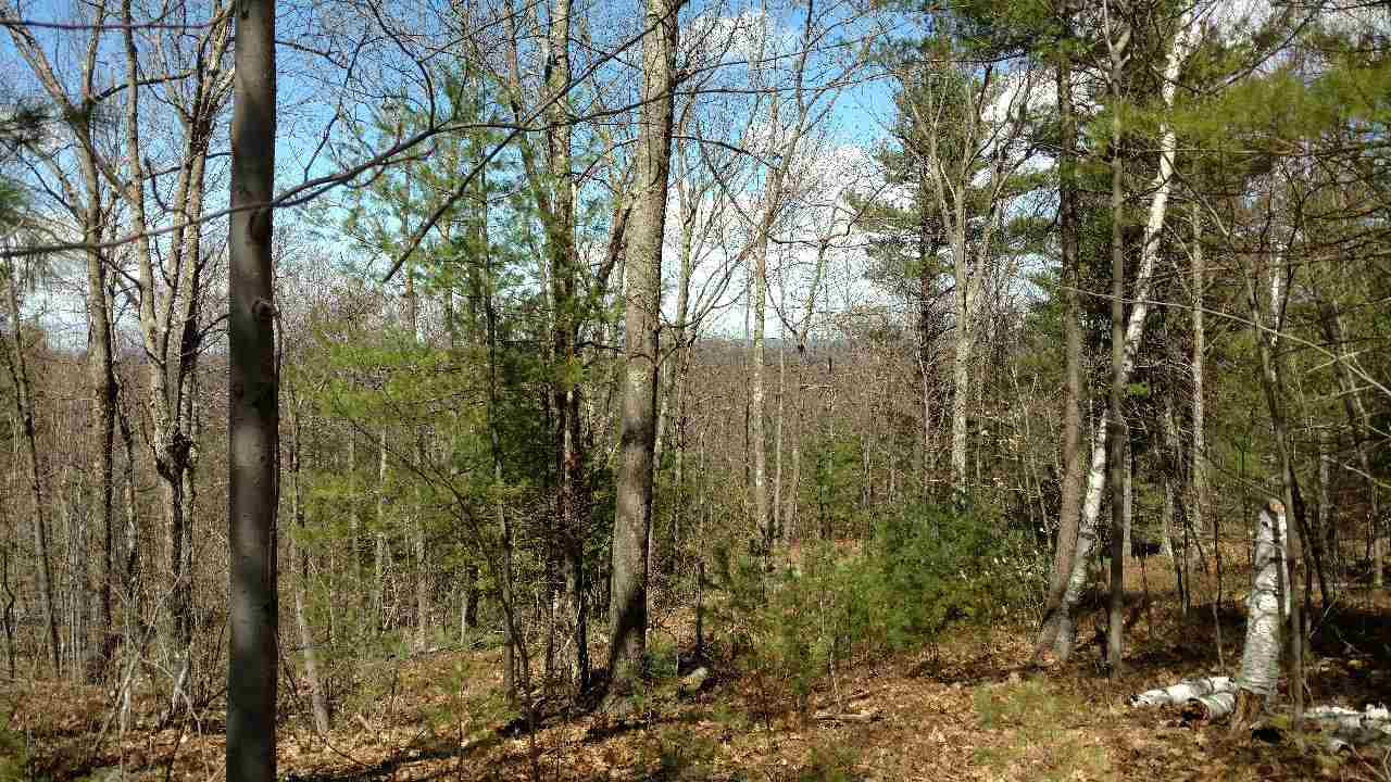 390 Mountain Road Lyndeborough, NH 03082 - Photo 11 of 12