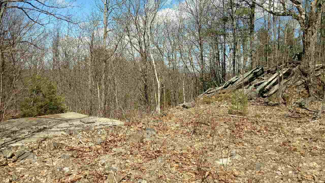 390 Mountain Road Lyndeborough, NH 03082 - Photo 3 of 12