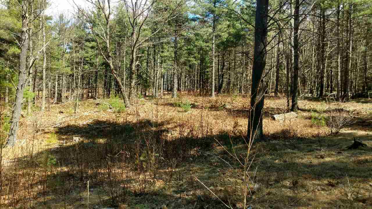 390 Mountain Road Lyndeborough, NH 03082 - Photo 5 of 12