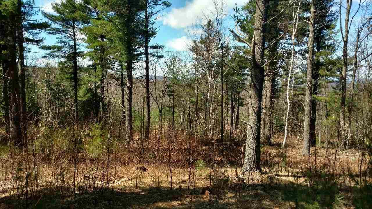 390 Mountain Road Lyndeborough, NH 03082 - Photo 6 of 12