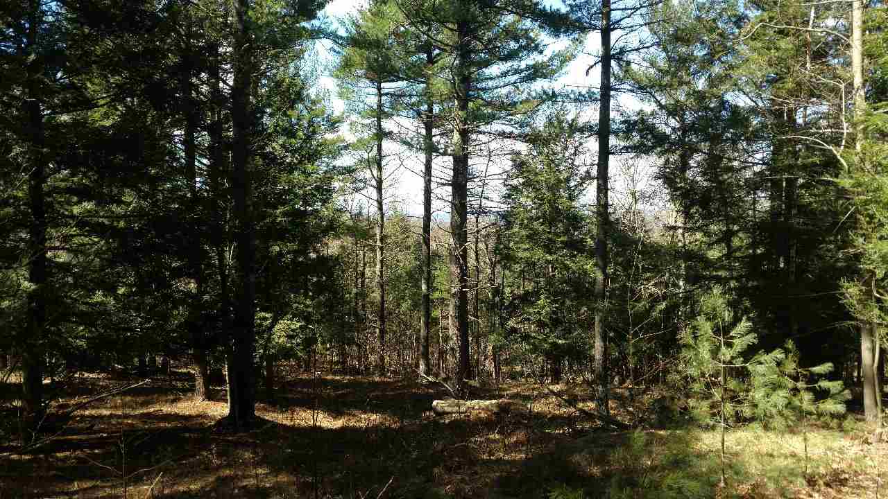 390 Mountain Road Lyndeborough, NH 03082 - Photo 8 of 12