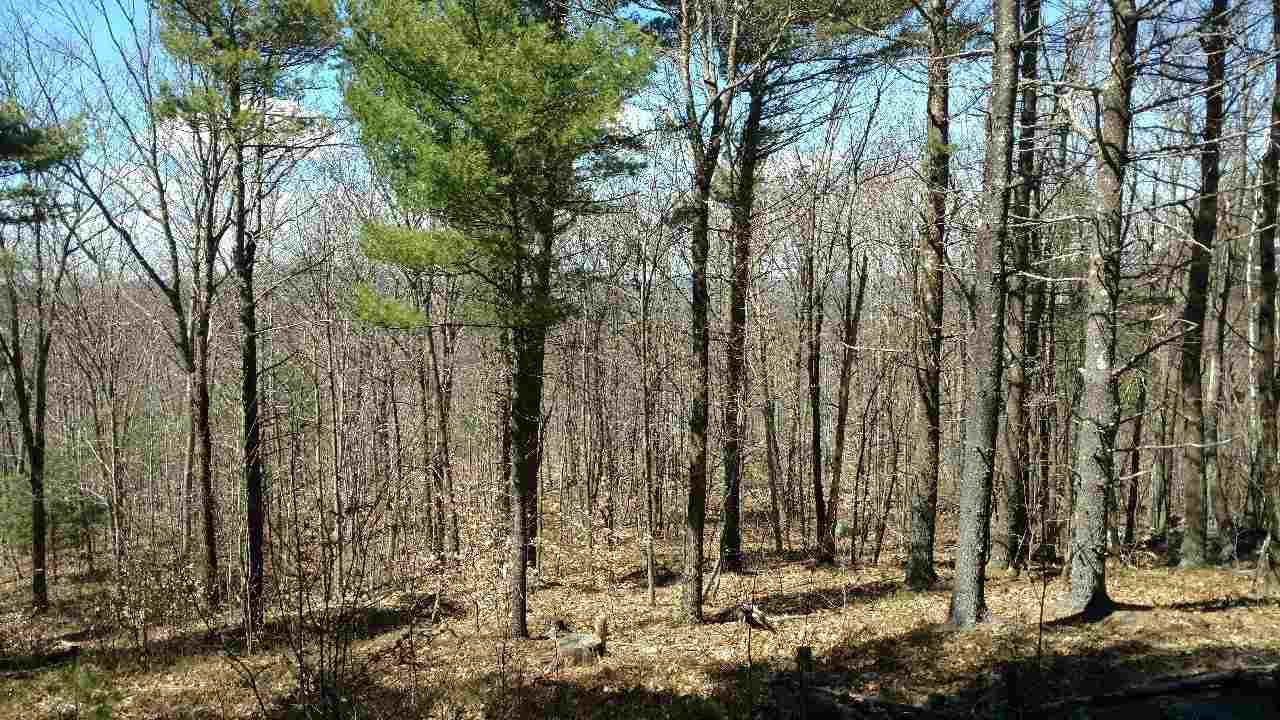 390 Mountain Road Lyndeborough, NH 03082 - Photo 9 of 12