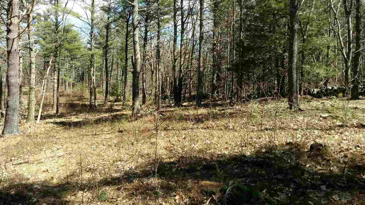 390 Mountain Road Lyndeborough, NH 03082 - Photo 10 of 12