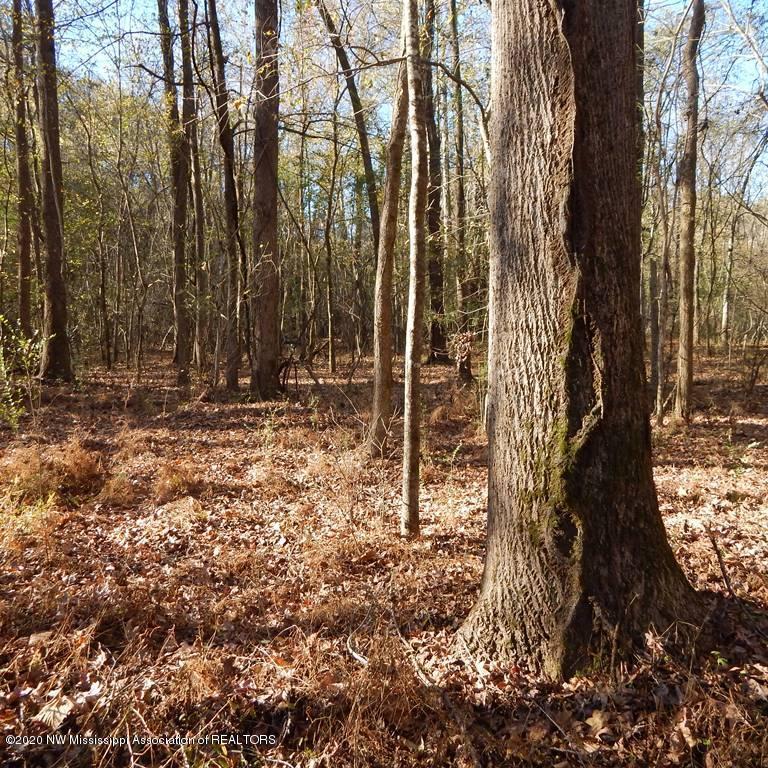 990 Avant Road Crenshaw, MS 38621 - Photo 1 of 43 Avant 78 002