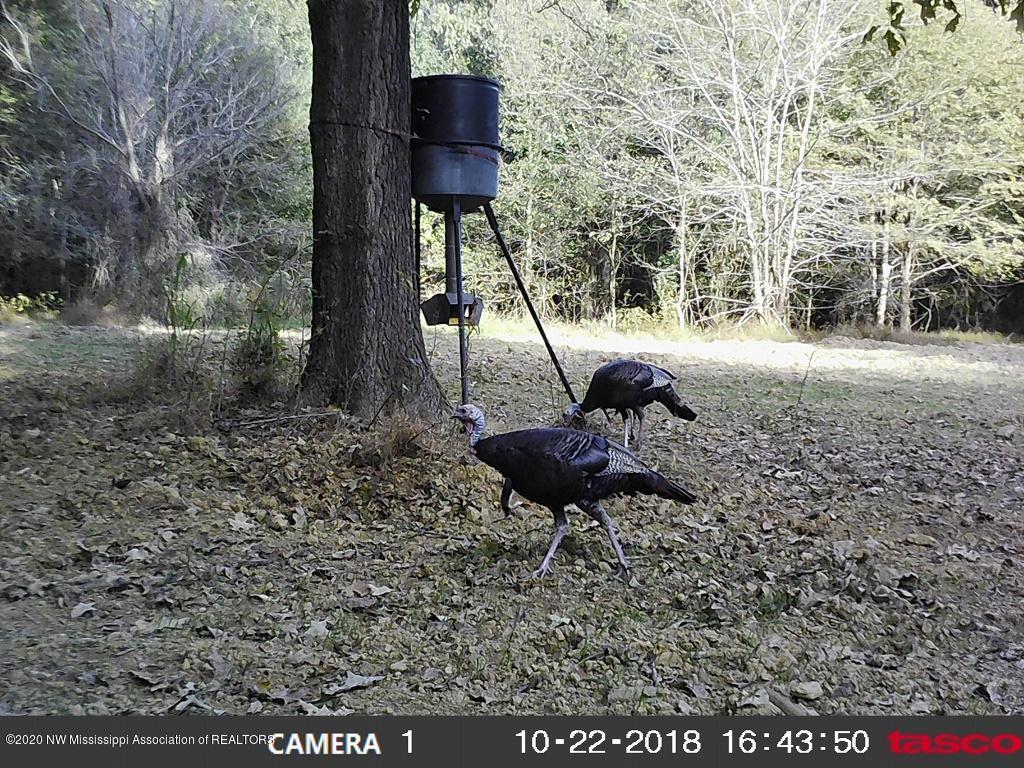 990 Avant Road Crenshaw, MS 38621 - Photo 13 of 43 000066