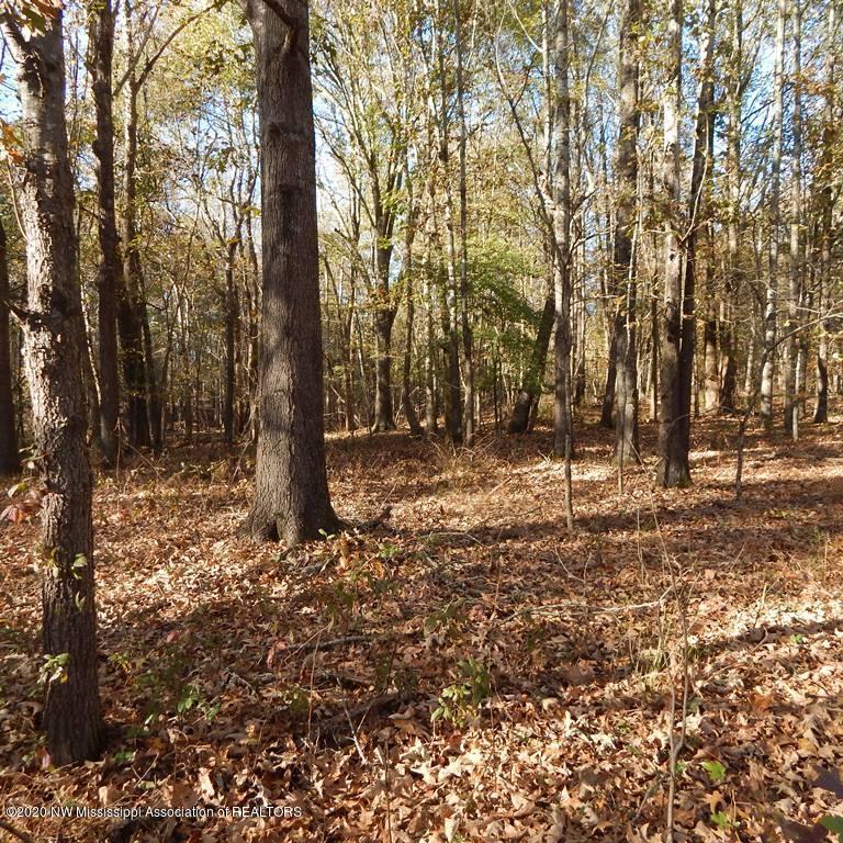 990 Avant Road Crenshaw, MS 38621 - Photo 2 of 43 Avant 78 013