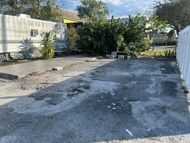 a view of a yard with plants and a tree