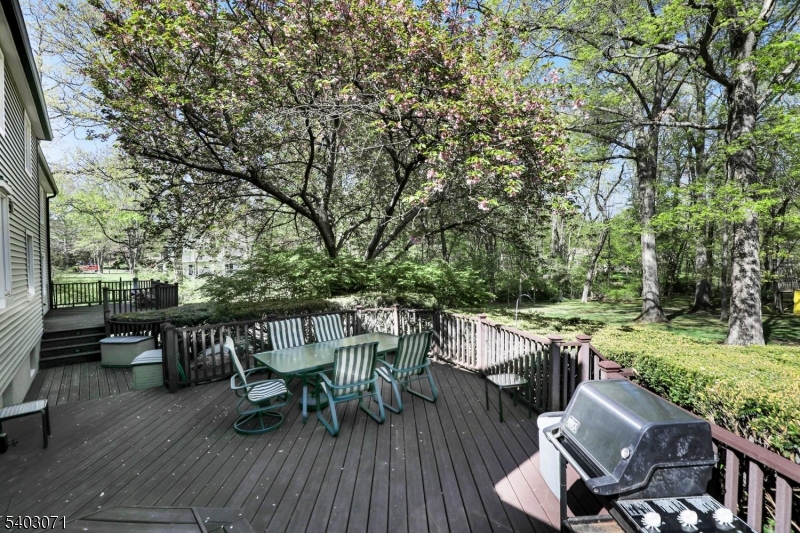 12 Rocky Lane Bernards, NJ 07920 - Photo 45 of 48