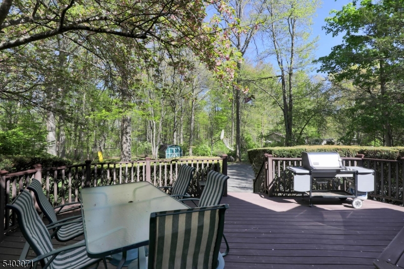12 Rocky Lane Bernards, NJ 07920 - Photo 46 of 48