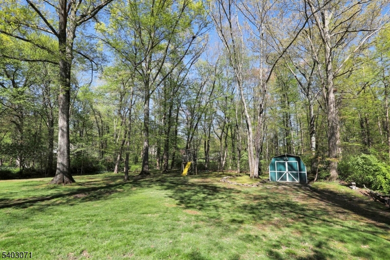 12 Rocky Lane Bernards, NJ 07920 - Photo 47 of 48